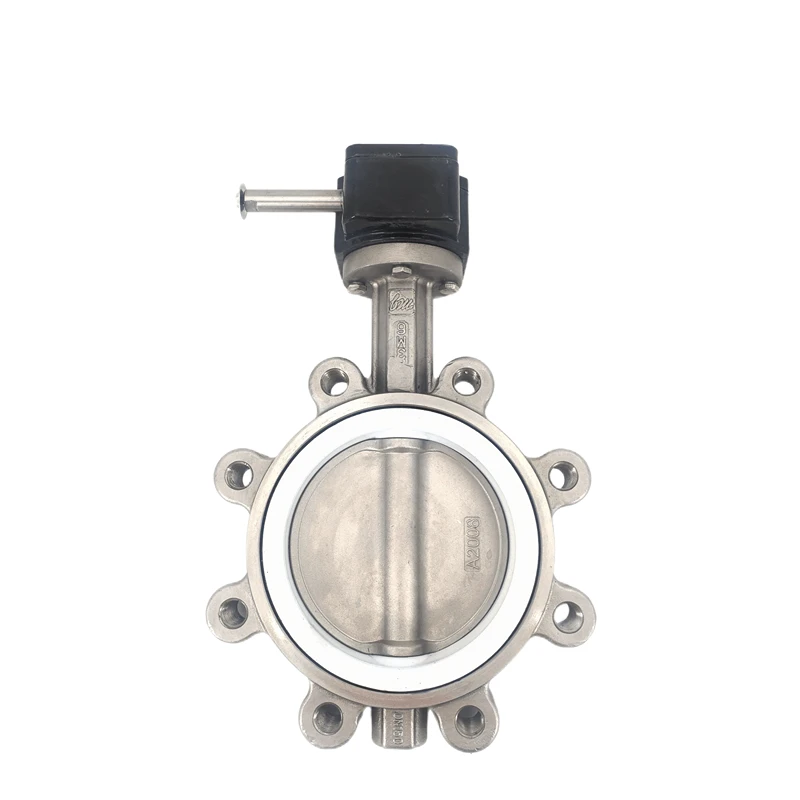 316L worm gear lug type PTFE butterfly valve